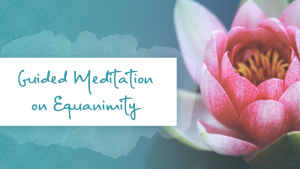 Guided Meditation on Equanimity